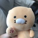 카카오즈 이미지