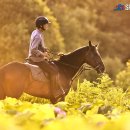 김영기 농장 이미지