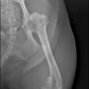 어울림동물메디컬센터 이미지