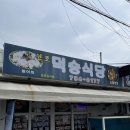 서호동-66 | [깔깔마녀들의 제주 3박 4일 여행] 2일차 - 제주 남서부 (덕승식당 갈치조림/용머리해안/가파도 유채꽃...