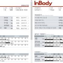 1994복싱 이미지