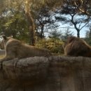 효동행정복지센터 이미지