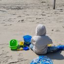 신두사구화장실 이미지