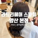 스피트메이드 이마트양산점 | 양산 범어 분위기 좋은 헤어샵 라트리헤어 방문후기