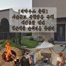 그린마트 편의점 | 춘천 리하우스 펜션 블루동 애견동반 후기(근처 마트, 편의점, 바베큐, 불멍등 내돈내산 총정리 리뷰)