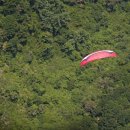 버드스쿨 이미지