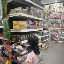 캣 레이크 이미지