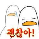 엘로우한우 이미지