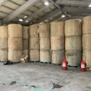 한우연구소 이미지