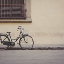 북극곰국어논술학원 이미지