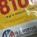 대국에너지 | 2025 대구국제마라톤 첫 하프 도전 완주후기