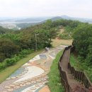 대부해솔길 7-1코스 이미지