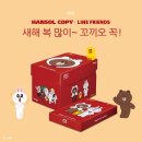 한솔라인