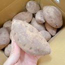 주식회사 더 샘터 이미지