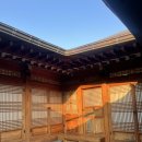 갤러리 스테이 | 서울 경복궁 서촌 독채 한옥 스테이 6인 더채 갤러리 숙박후기