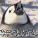 아텔