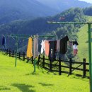 햇볕 세탁 이미지