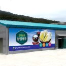팔각산친환경절임배추영농조합법인
