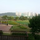 수원-0635 티스토리