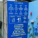 고니디테일링