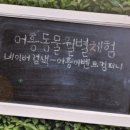 노리숲어린이집 이미지