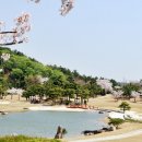 용원컨트리클럽 이미지