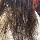 시세이도 모발클리닉 대치동미용실 살롱솔루션 모발내부의 유해요소 금속이온제거 /체험후기 아이디헤어...