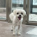 멍블리살롱 이미지