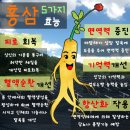 반빡반짝 홍삼 효능이 식약처인증, 당연하죠? 이미지