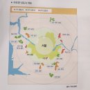 채형농장 | 위기를 기회로 바꾸는 부의 공식-이지윤 길벗 : 솔직 리뷰 독서노트 후기 서평