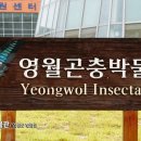 T.O.P투어