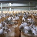 성무농장 이미지