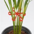 프로농기계 이미지