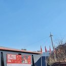 2025 궁디팡팡캣페스타 서울 SETEC 냥이와 집사 모두 흥분