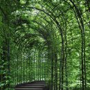 망상파크 이미지