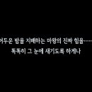 메가투어 - 광진구 구의강변로 79 | 메가투어