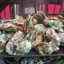 참빛생굴구이 이미지