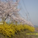 알천남로 이미지