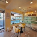 라이프독 강릉점 24시 강아지분양 고양이분양 | 멀리서도 찾아오는 강릉 강아지분양 라이프독강릉점 24시 강아지 고양이 보실까요