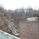 중앙동142 이미지