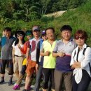 폭포수목장 이미지