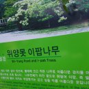 양못 이미지