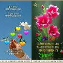 20)2. 莊子장자 外篇외편 第20篇 山木(산목)(第2章)/차이나쇼크 2.0,우라늄,BYD,중국 선박 '통과',멜로니,JP모건체이스,항 이미지