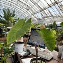 플랜츠비 | 초보 식집사 플랜테리어, 시흥 꽃집_식물이지 센터 위플랜츠(weplants)