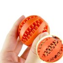 오렌지애견 이미지