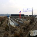 원정농장 이미지