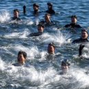 진해구 ⓒ-22 이미지