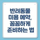 디아나동물병원부속반려동물미용실 | 반려동물 미용 예약, 꼼꼼하게 준비하는 법