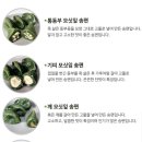 영광모싯잎송편(세종) 이미지