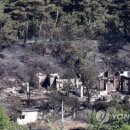 위촌1리 이미지